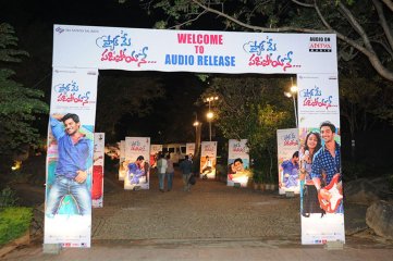 Pyaar Mein Padipoyane Audio Launch